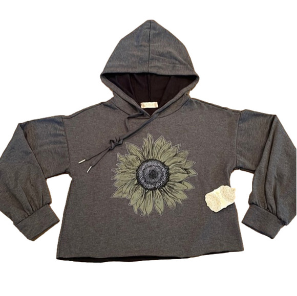 𝅺ALTAR’D STATE Small gray cropped sweatshirt hoodie - Picture 1 of 6